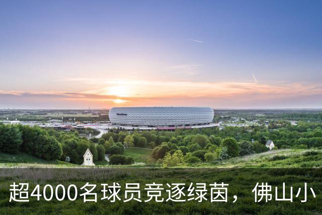 超4000名球员竞逐绿茵，佛山小“西甲”圆满落幕